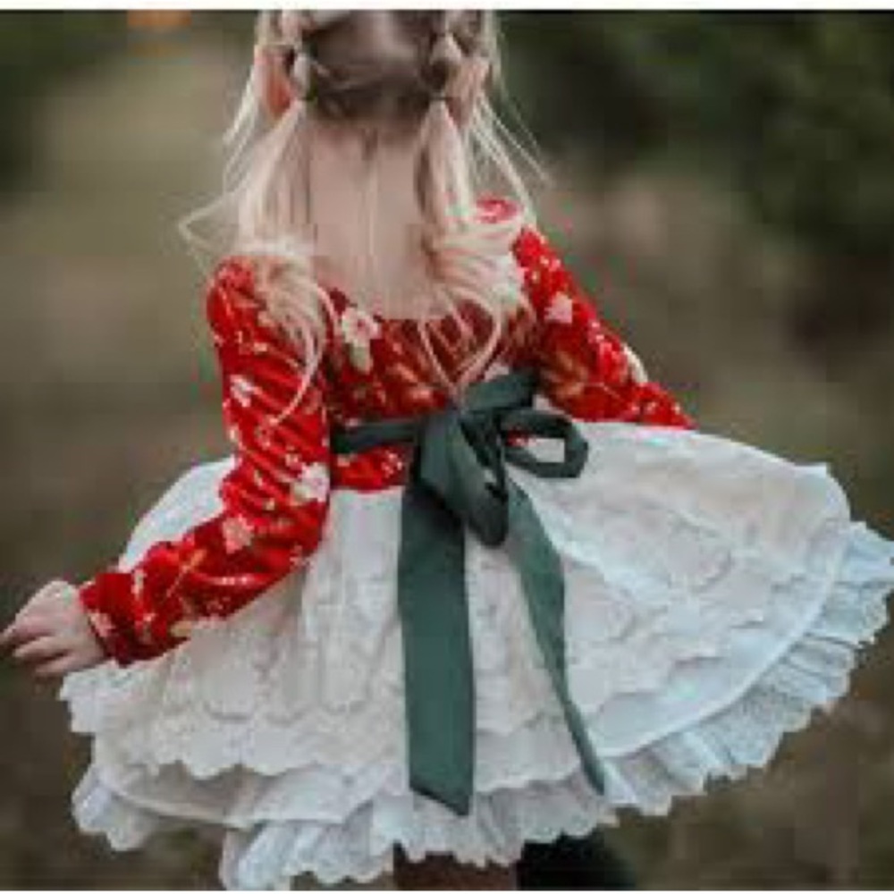 Love and Grow HTF Pretty Poinsettia Dress Tunic Blooms Set Christmas size 10 - Picture 2 of 5
